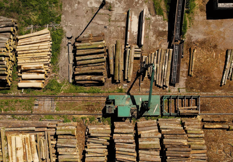 Aerial view of a site showing sustainably sourced timber logs for climate-smart construction.